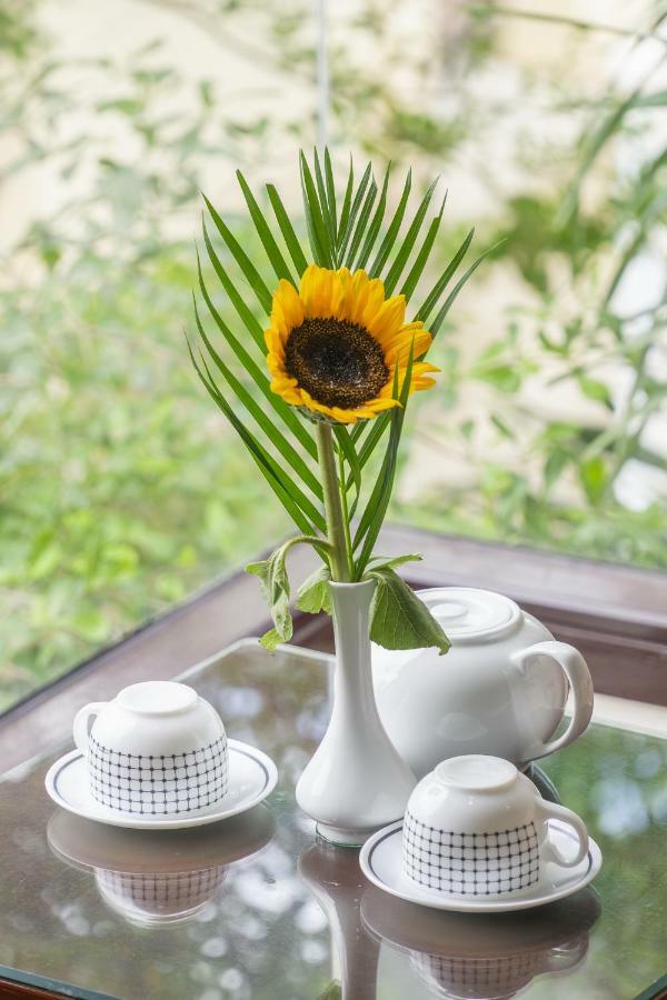 Golden Soulmate Homestay Хойан Экстерьер фото